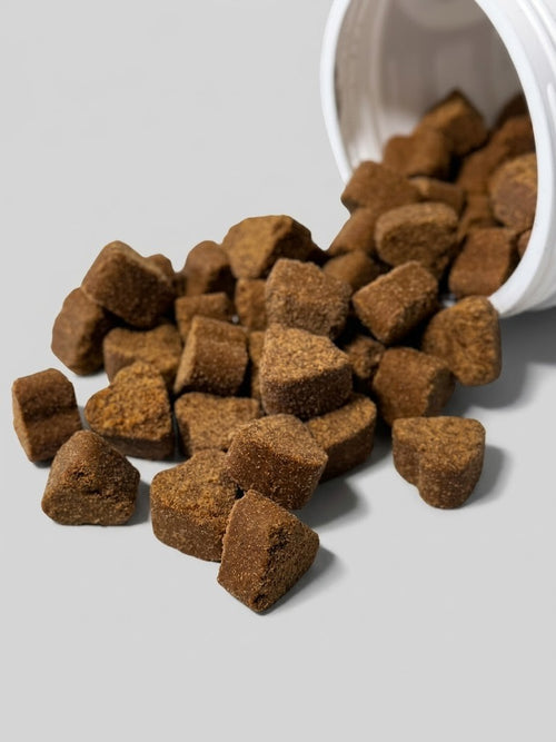 Dog food kibble spilling out of a white container on a gray background