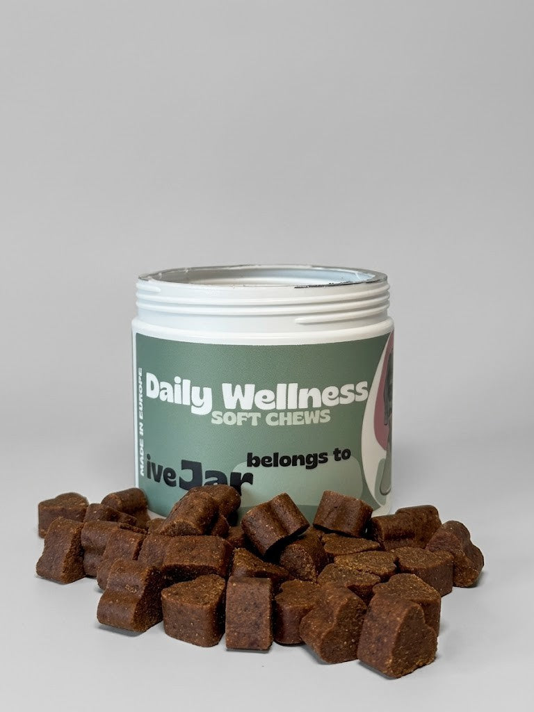 Canister of Daily Wellness soft chews for pets on a gray background