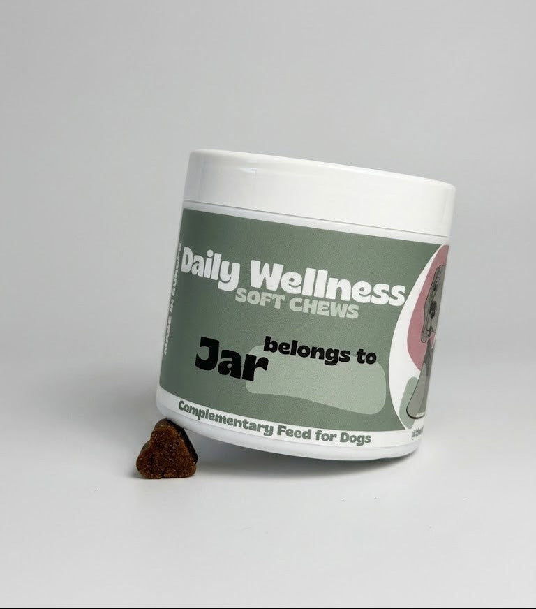 Daily Wellness