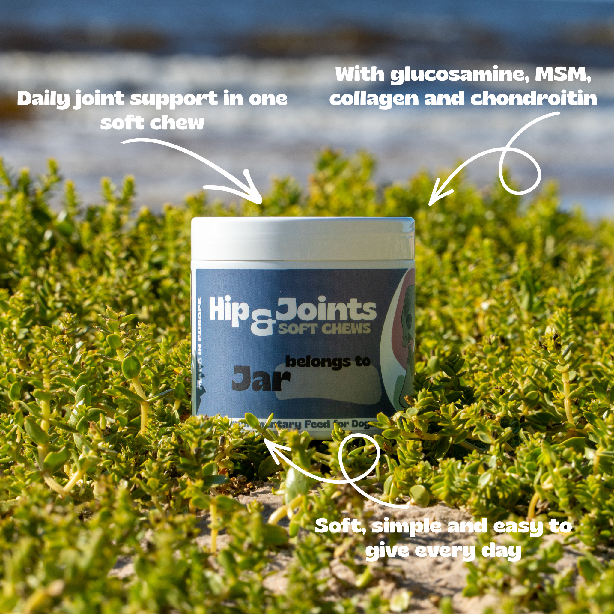 Hip & Joints