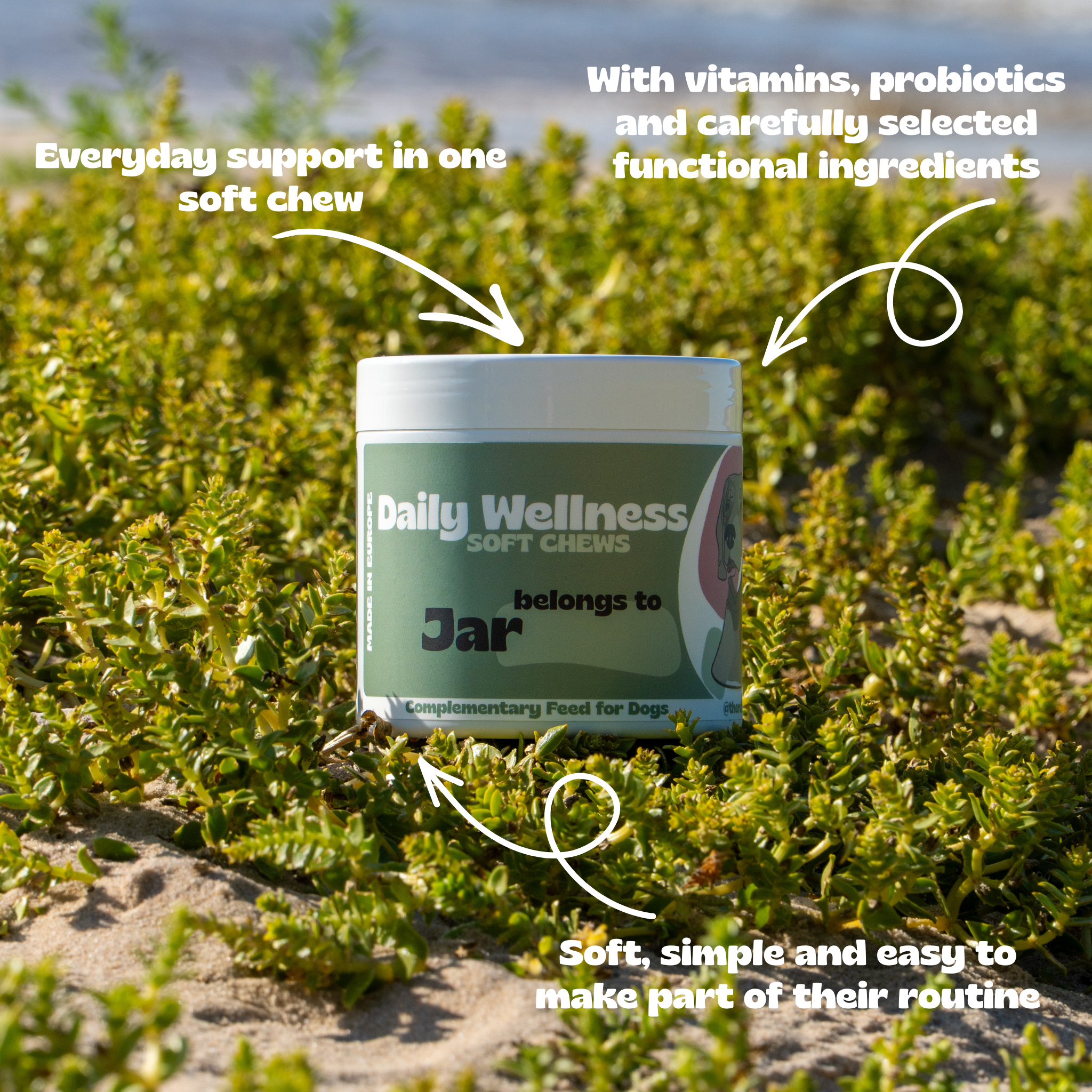 Daily Wellness