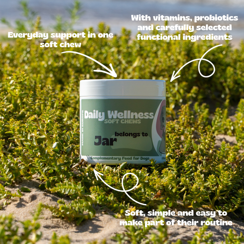 Daily Wellness
