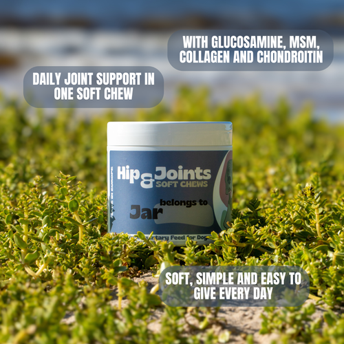 Hip & Joints