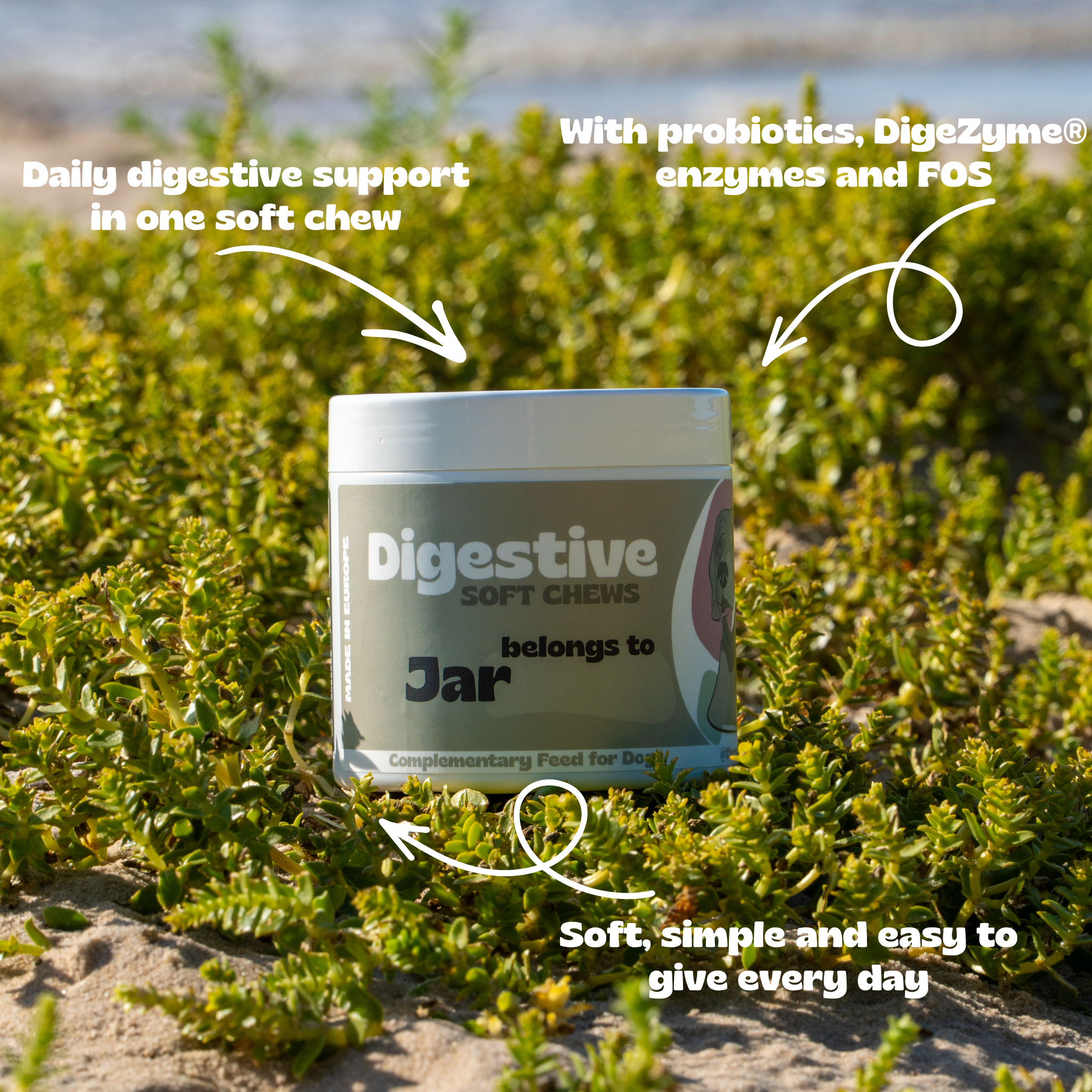 Digestive