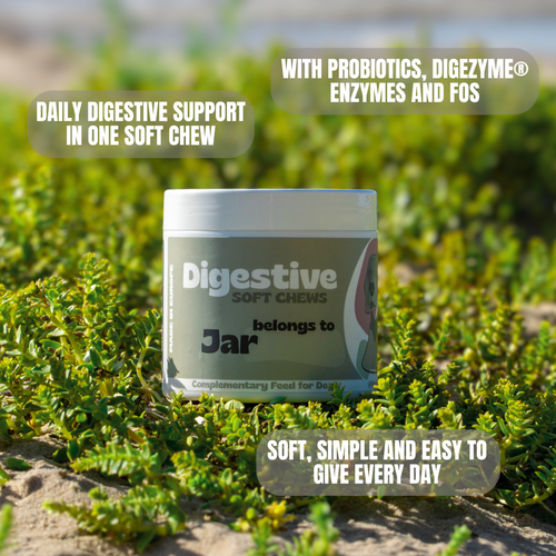 Digestive
