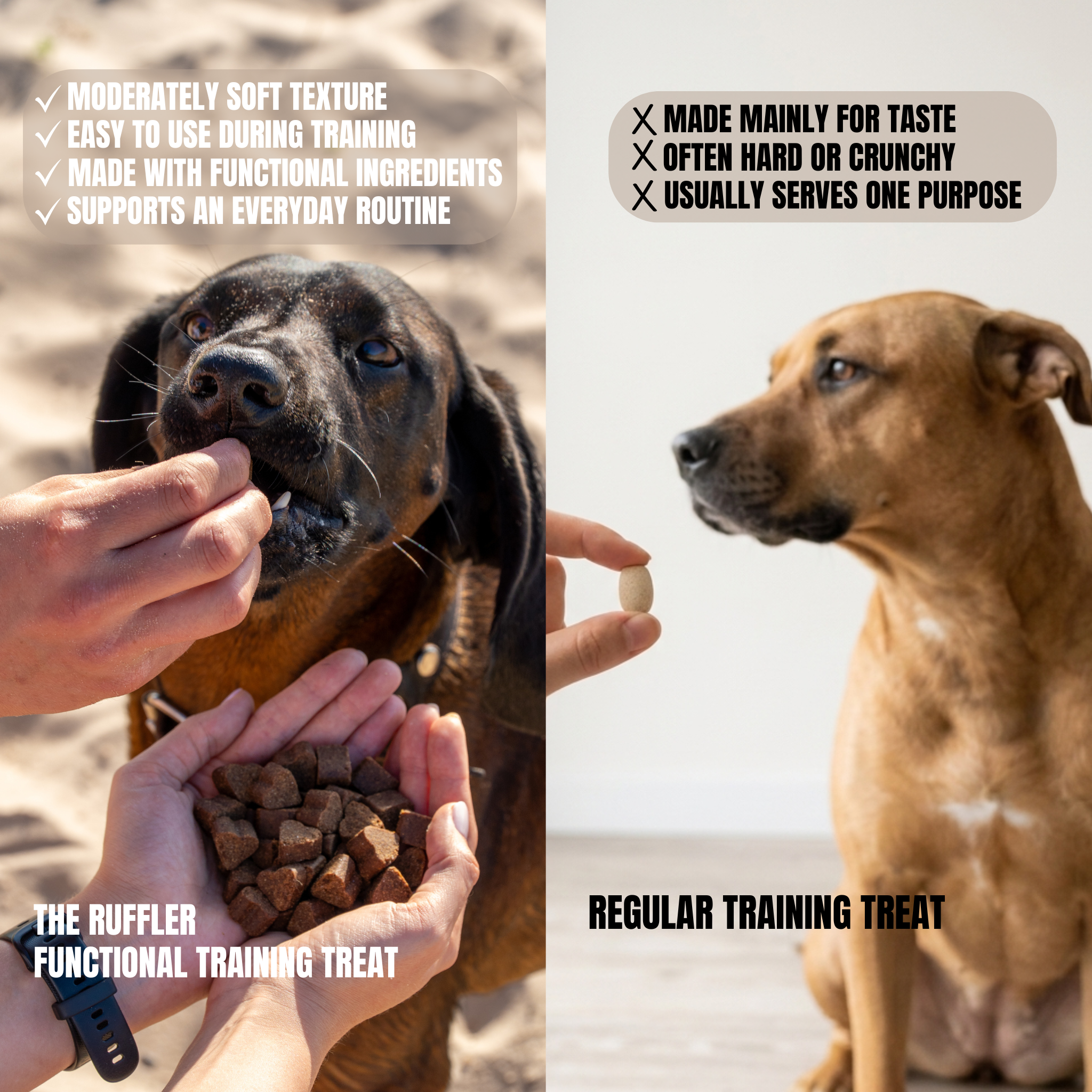 Functional Training