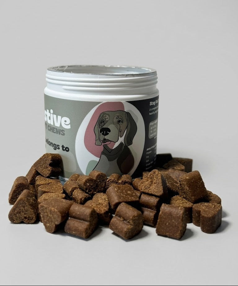 Jar of dog treats with treats spilling out on a gray background