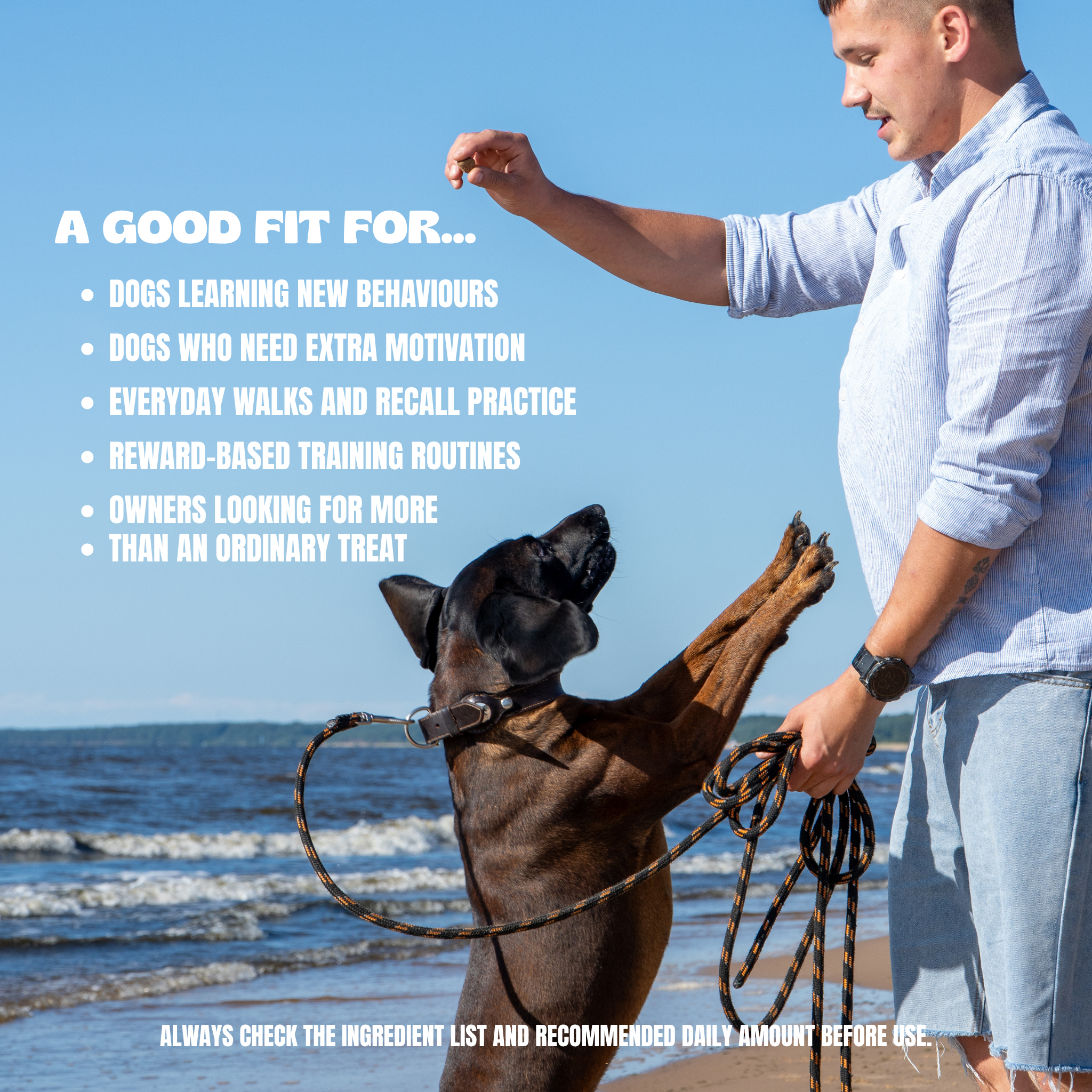 Functional Training