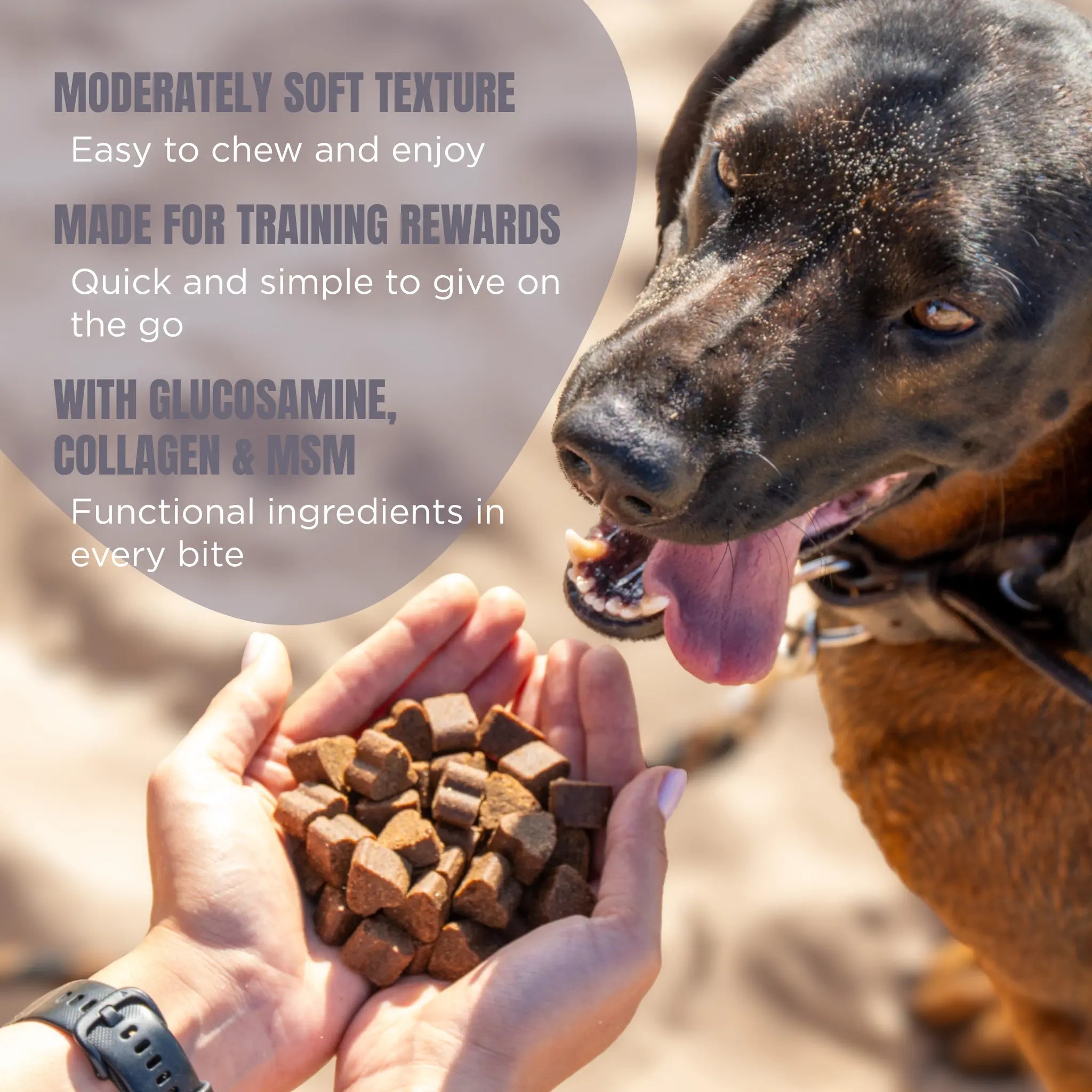Functional Training The Ruffler