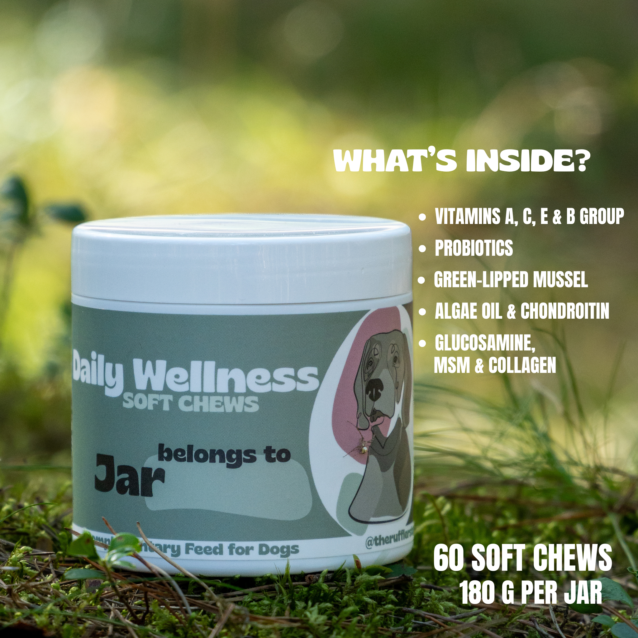 Daily Wellness