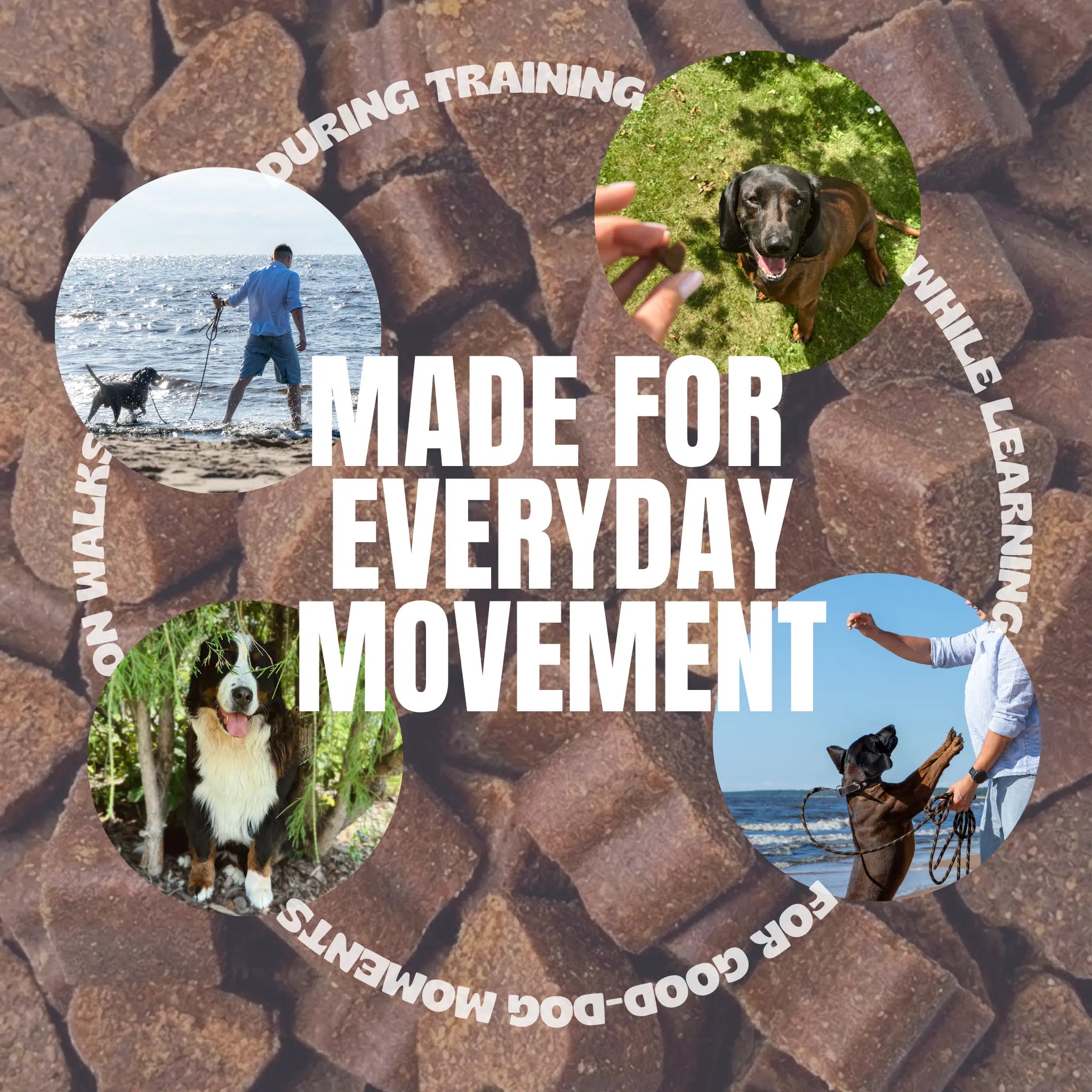 Functional Training The Ruffler