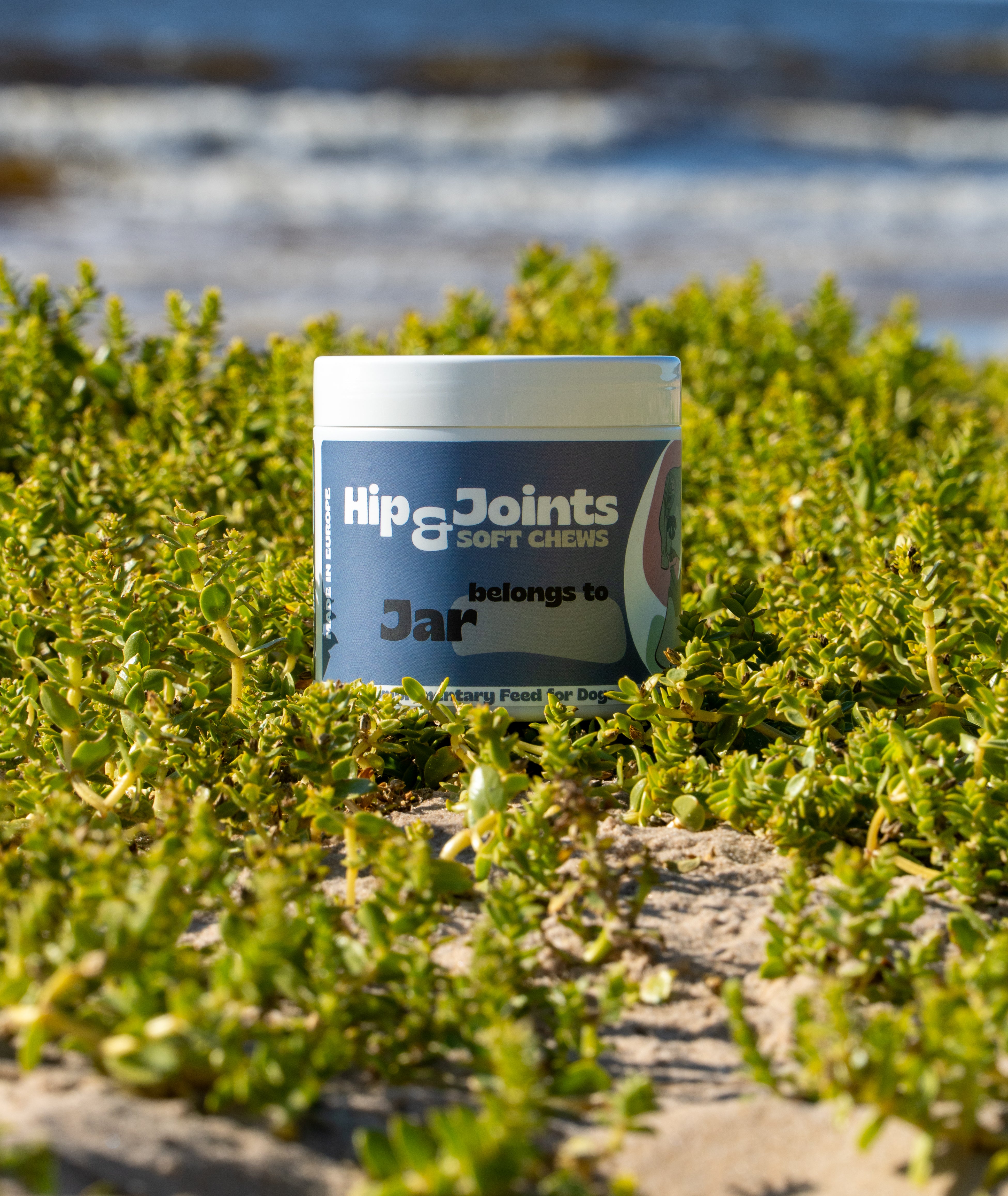 Hip & Joints