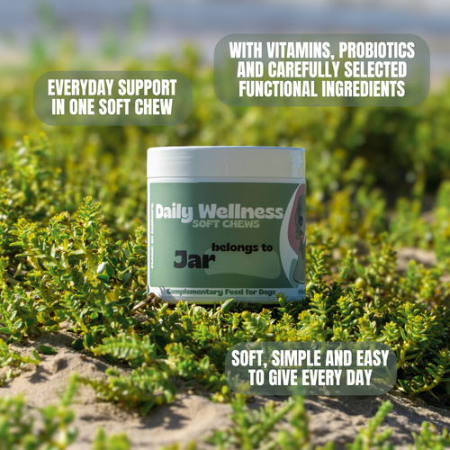 Daily Wellness