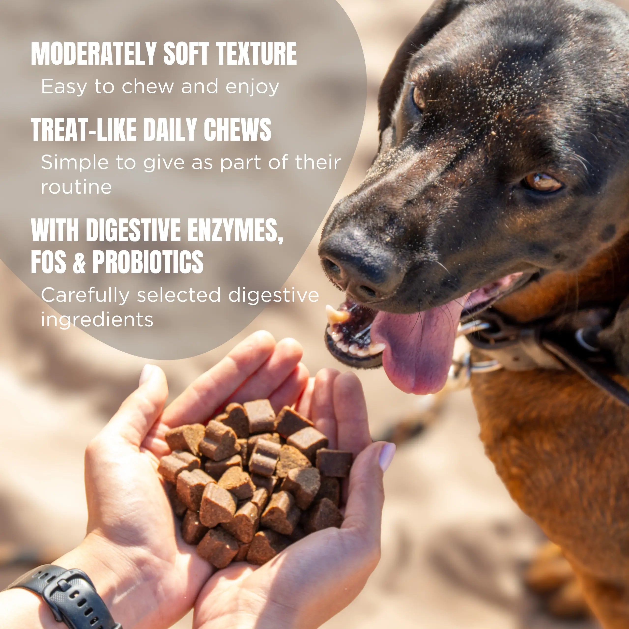 Digestive The Ruffler