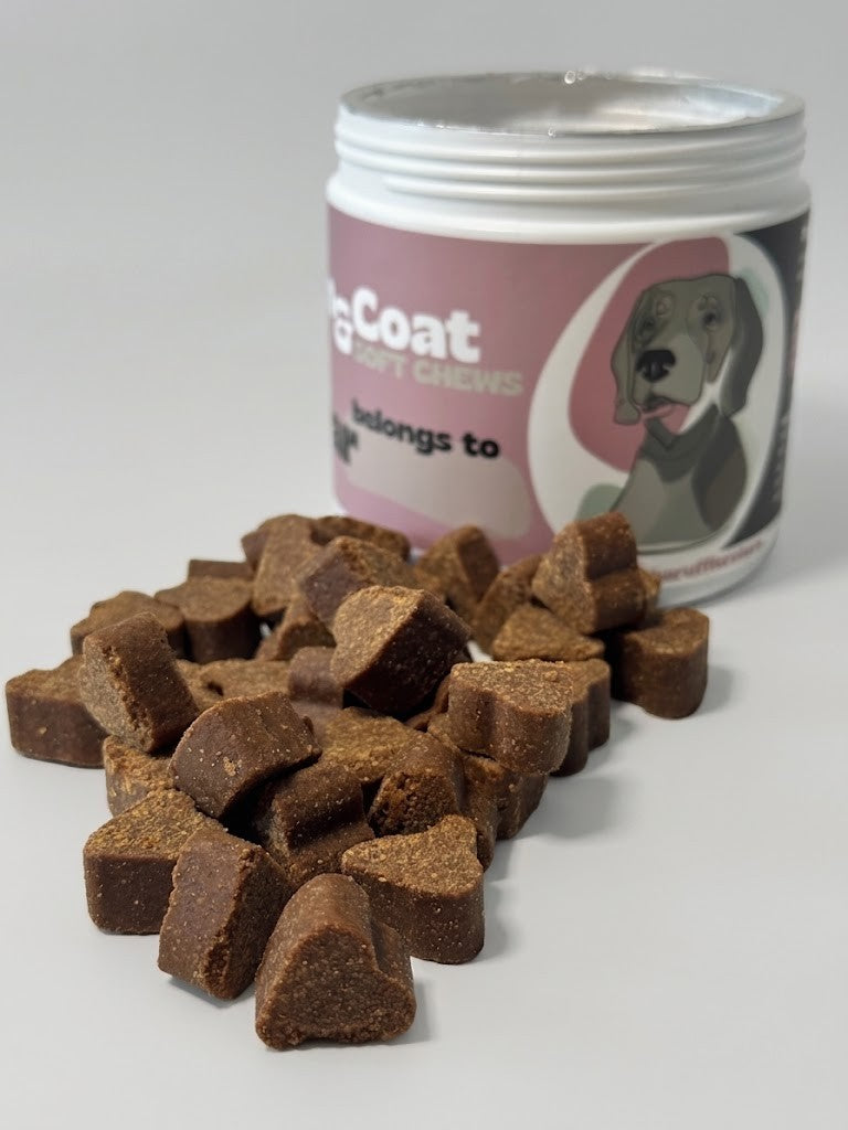 Dog treats in front of a container labeled 'Coat' on a white background