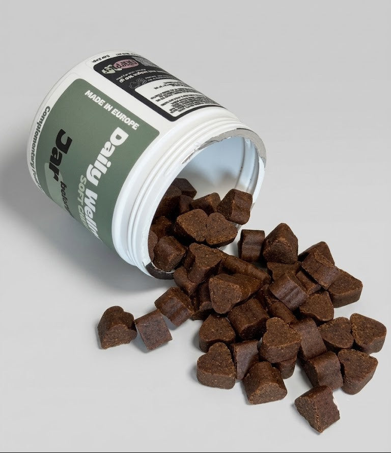 Container of brown dog treats spilling out onto a gray surface