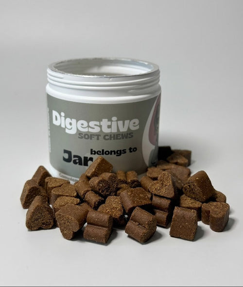 Jar of Digestive Soft Chews with treats on a gray background